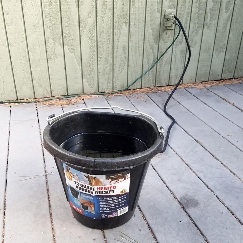 Farm Innovators FB-15R Heated Flat-Back Rubber Bucket, 90 Watts, 4.5 Gallon customer photo 2
