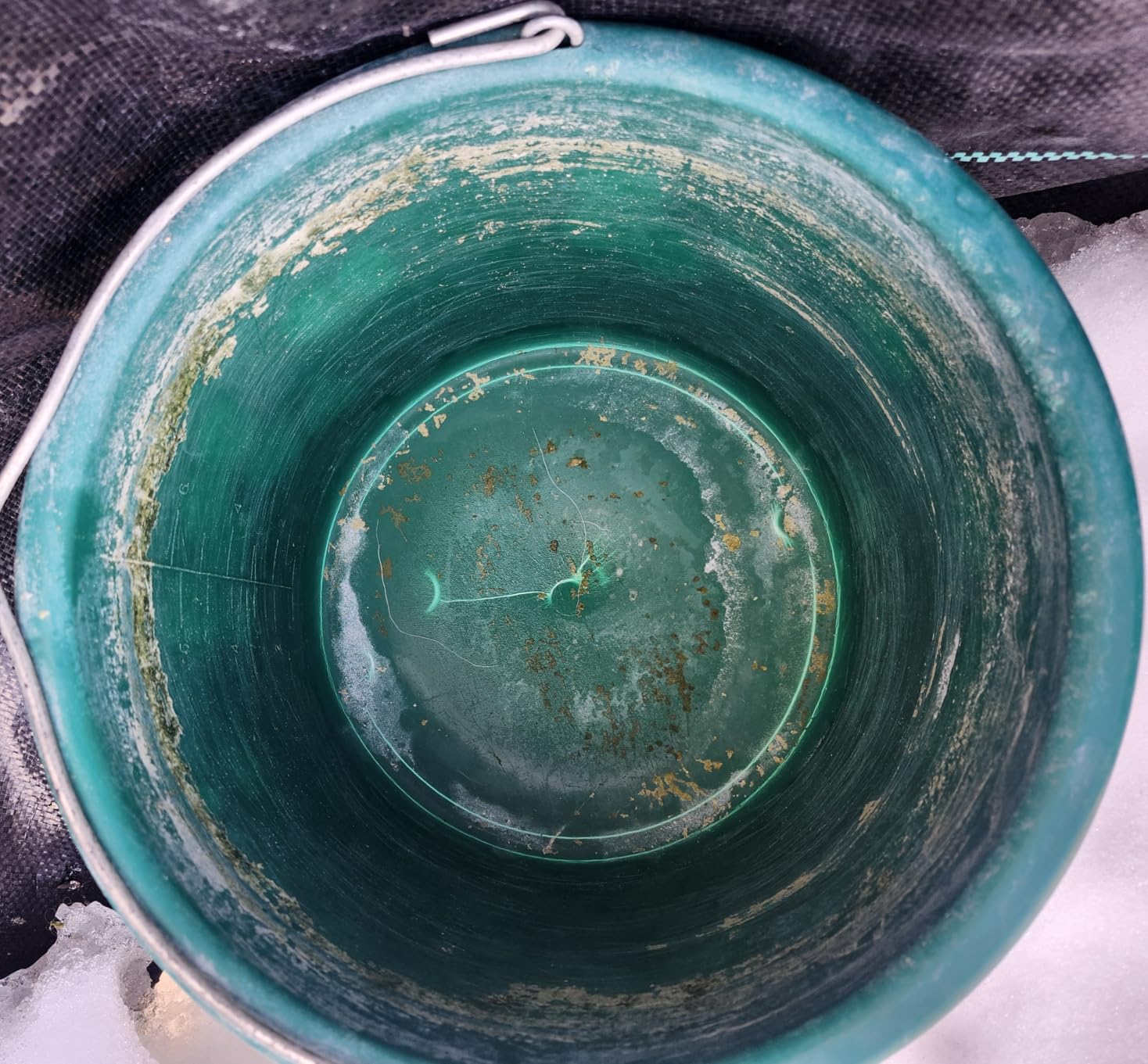 Farm Innovators Heated Flat-Back Water Bucket, 120 Watts, 5 Gallon customer photo 1