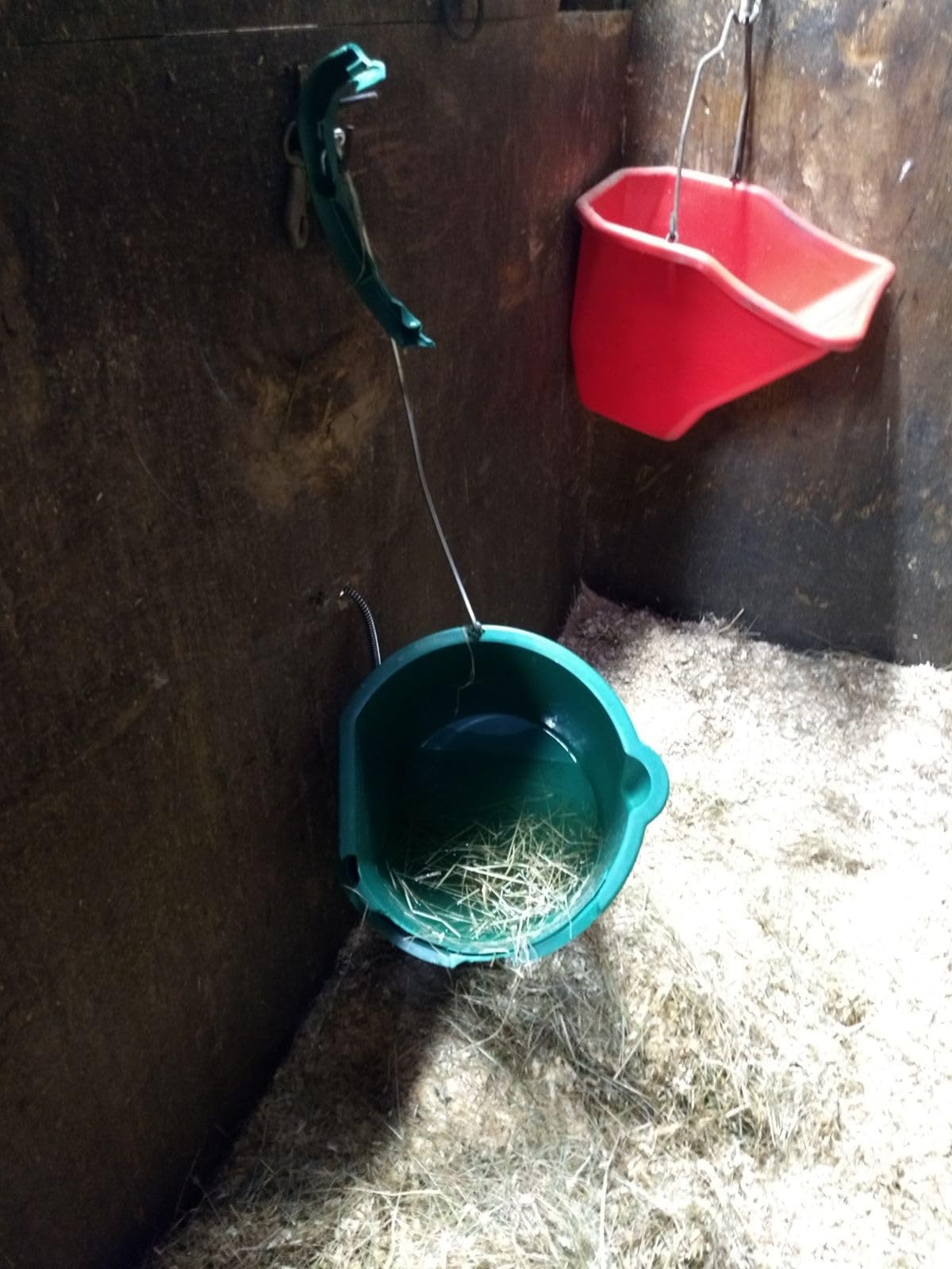 Farm Innovators Heated Flat-Back Water Bucket, 120 Watts, 5 Gallon customer photo 2