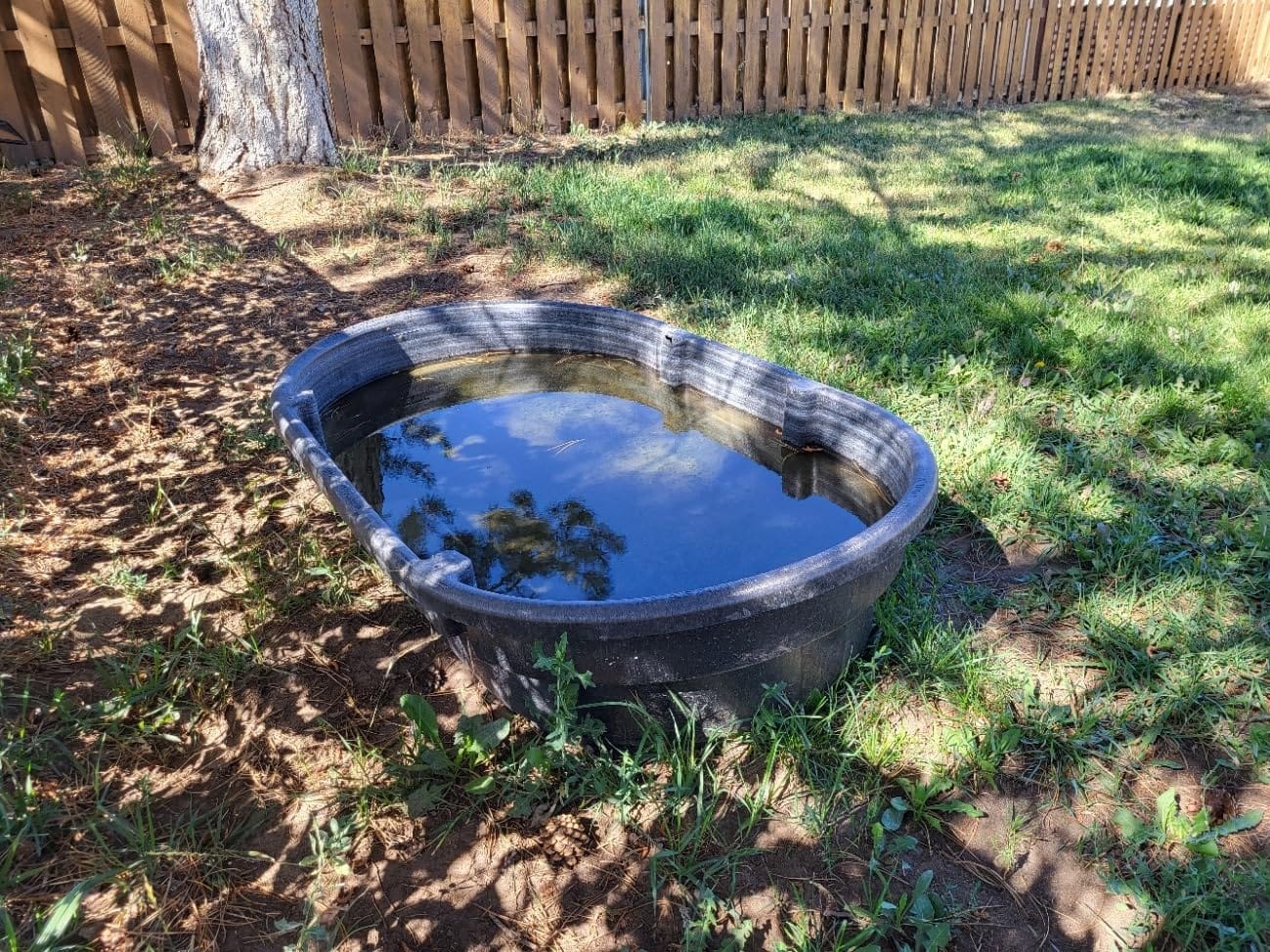 Rubbermaid Commercial Products Stock Tank 300-Gallons Structural Foam Heavy Duty Container for Livestock/Animal/Cattle Feed & Water Outdoor Homemade Pool/Hot Tub/Bathtub & Pet Cleaning/Dog Wash customer photo 1