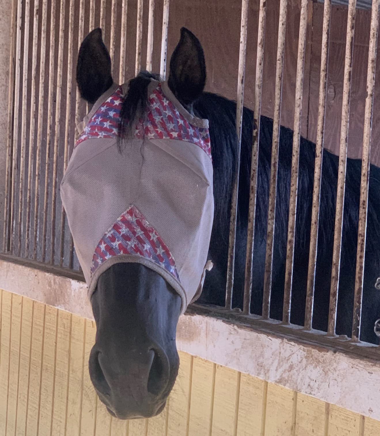 Cashel Crusader Standard Fly Mask No Ears or Nose,Gray,Horse customer photo 1