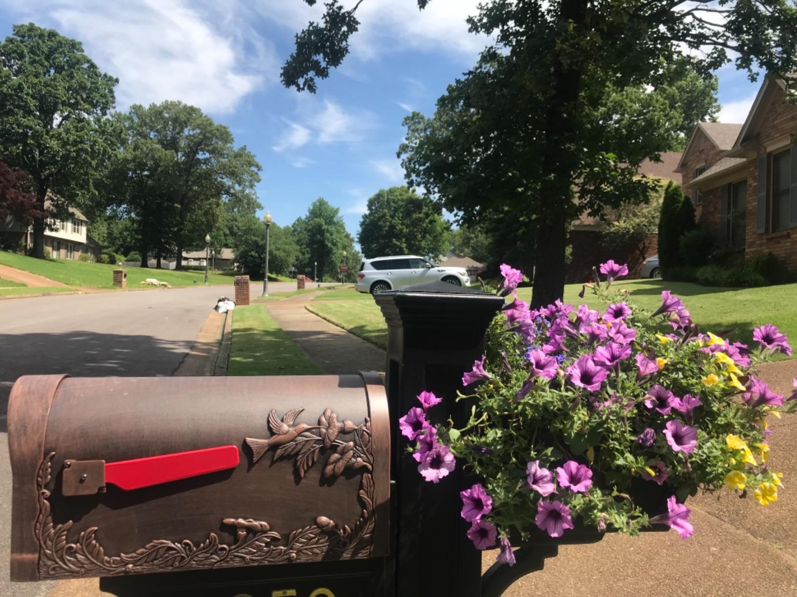 Special Lite Hummingbird Curbside Mailbox - Copper Aluminum Mailbox for Post Mount - SCB-1005-CP customer photo 1