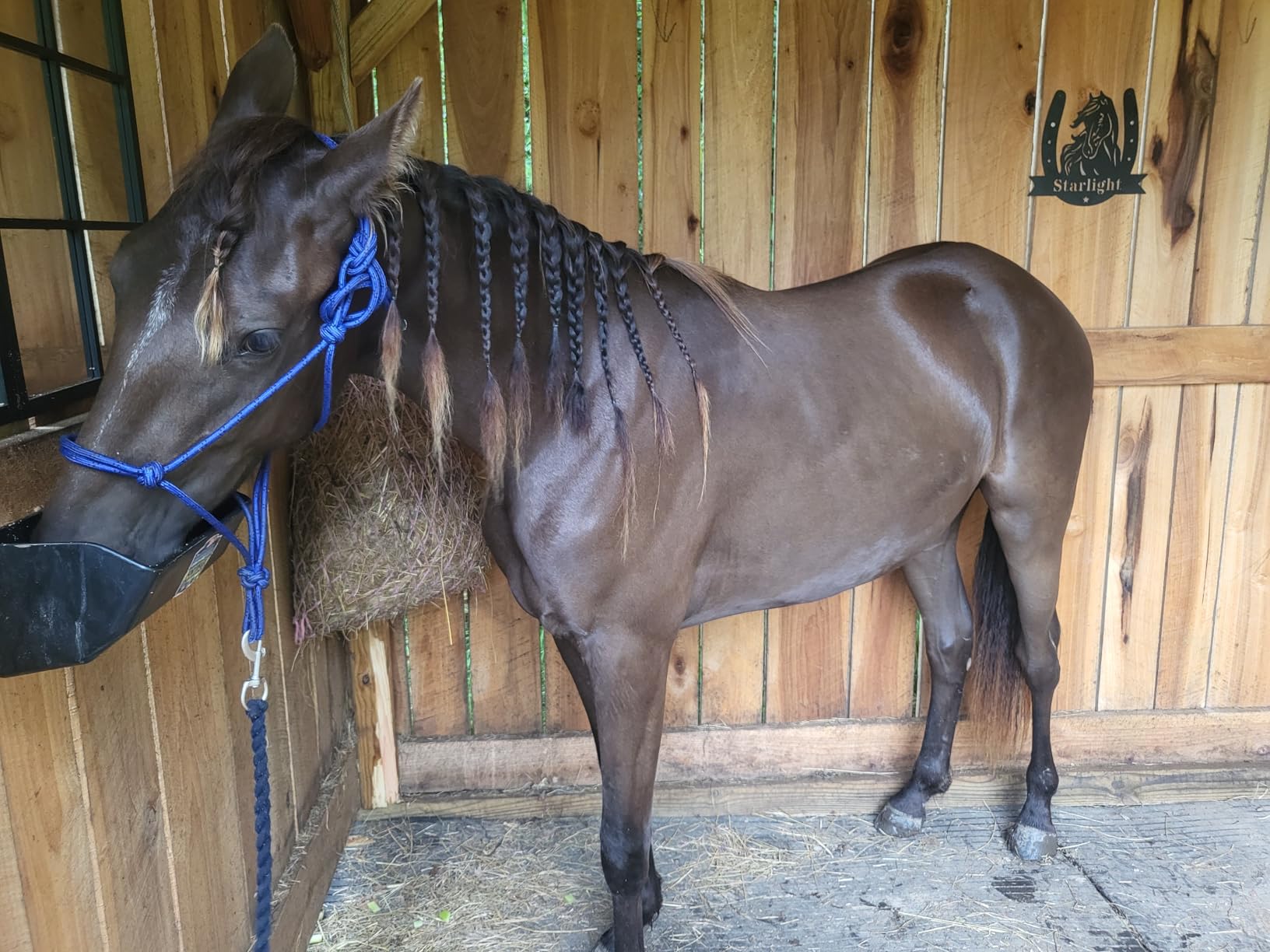 Tough 1 Horse Poly Rope Tied Halter customer photo 2