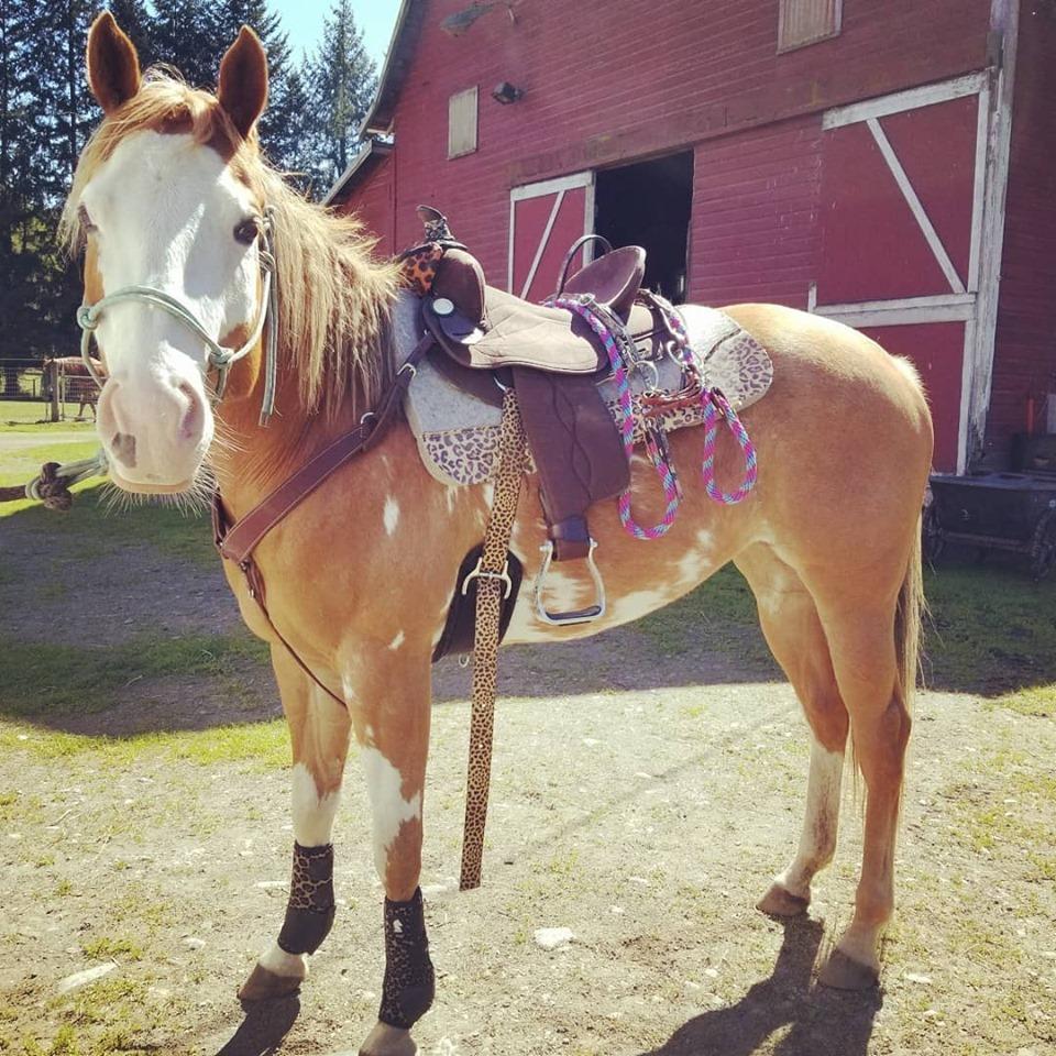 King Series Synthetic Trail Saddle Brown/BRWN 16 customer photo 1
