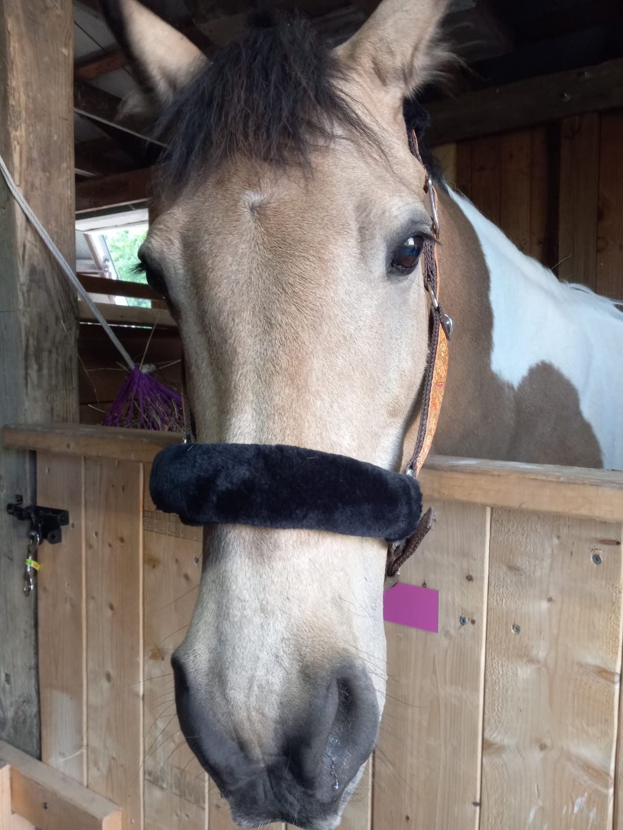 Tough1 Fleece Halter Set - Horse customer photo 2