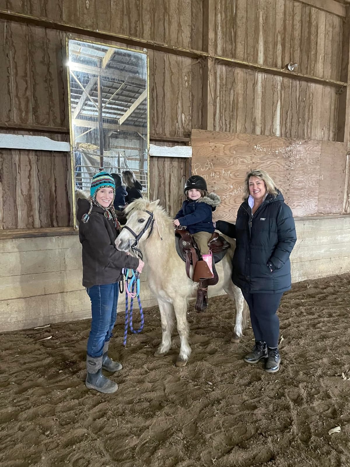 Tough 1 Silver Fox Raised Snaffle Bridle customer photo 2