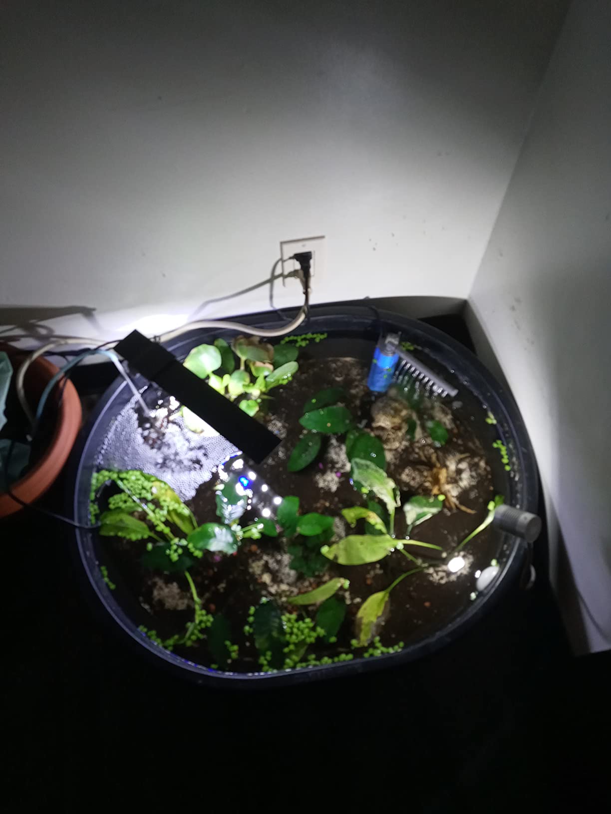 Little Giant® Poly Oval Stock Tank | Water Trough | Plastic Pond Tub | Heavy Duty Feeding & Watering Trough for Livestock | 100 Gallons customer photo 2