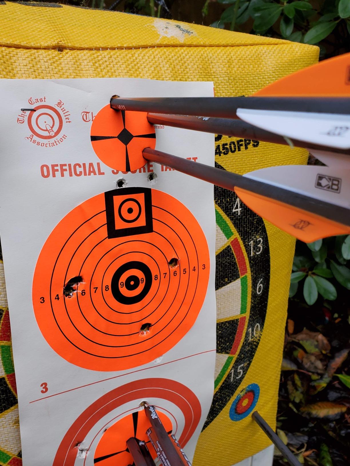 Morrell Double Duty 450 FPS Cube Field Point Archery Bag Target, Yellow customer photo 2