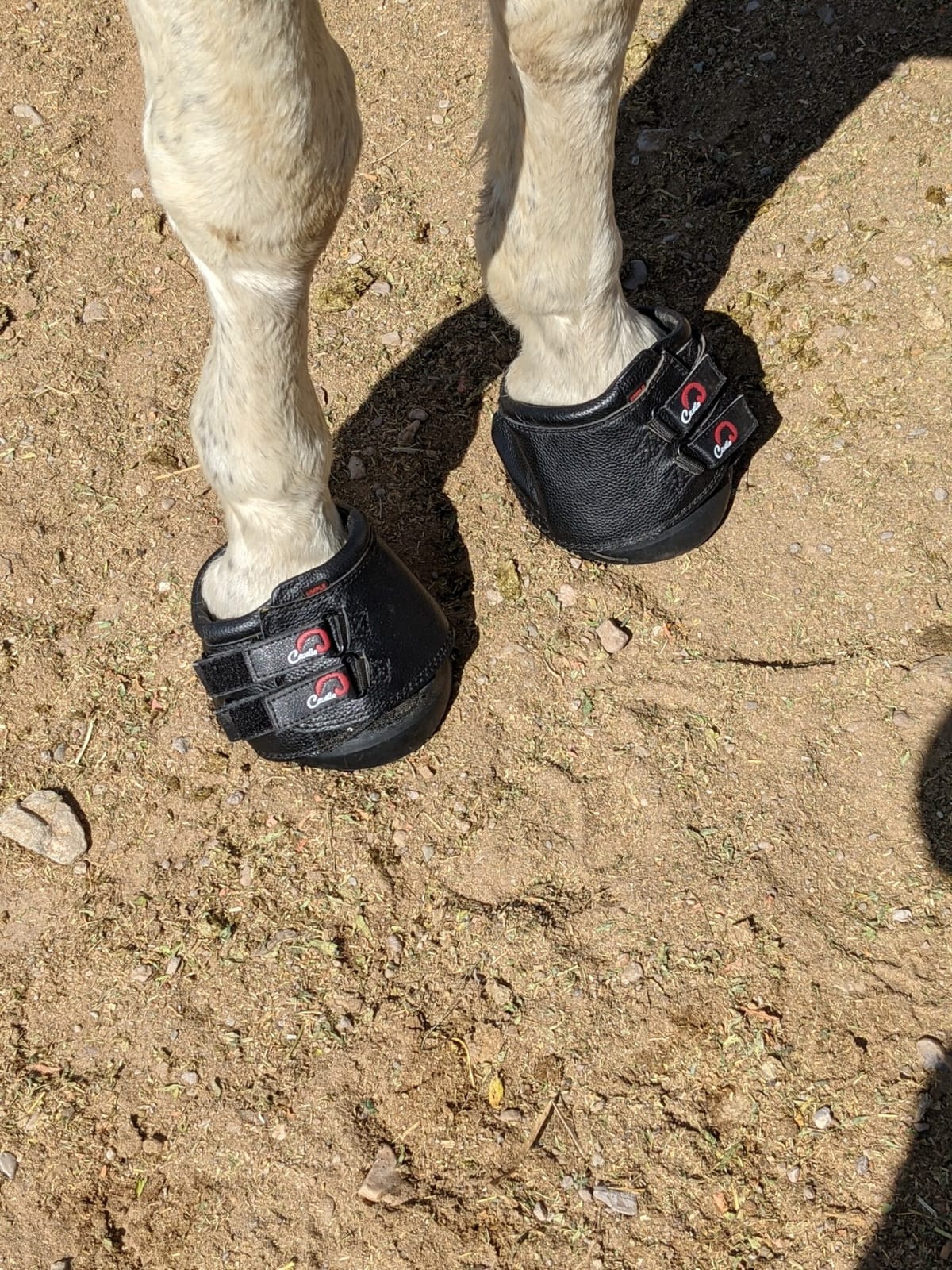 Cavallo Simple Hoof Boot for Horses, Size 2, Black customer photo 1