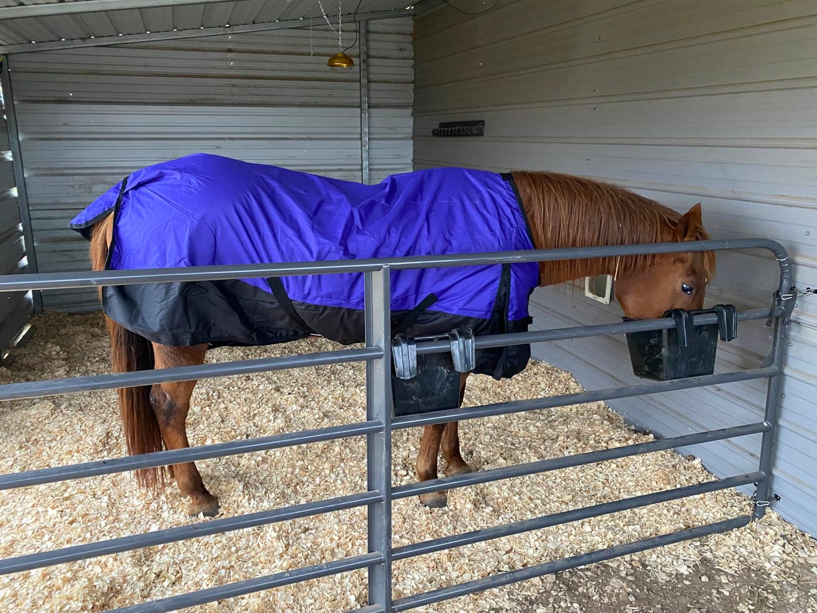Tough 1 600 Denier Waterproof Horse Sheet customer photo 1