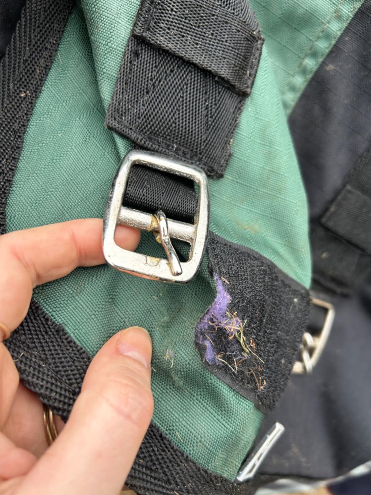 Tough 1 600 Denier Waterproof Horse Sheet customer photo 2