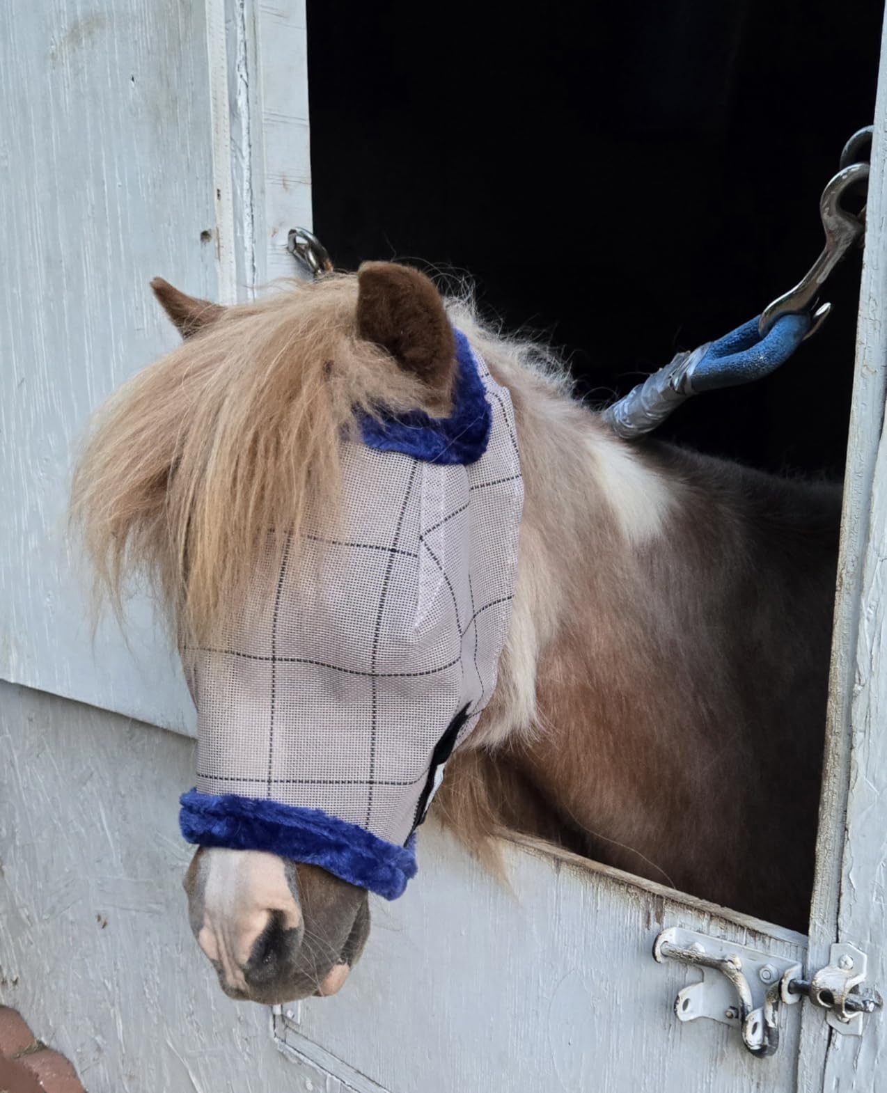 Farnam SuperMask II Horse Fly Mask Without Ears For Eyes, Regular Size customer photo 1
