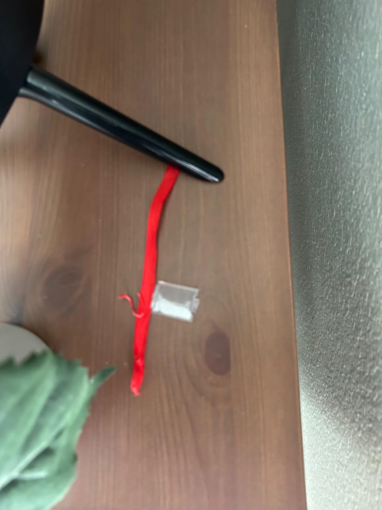 Techko S187D Safe Pool Alarm customer photo 2