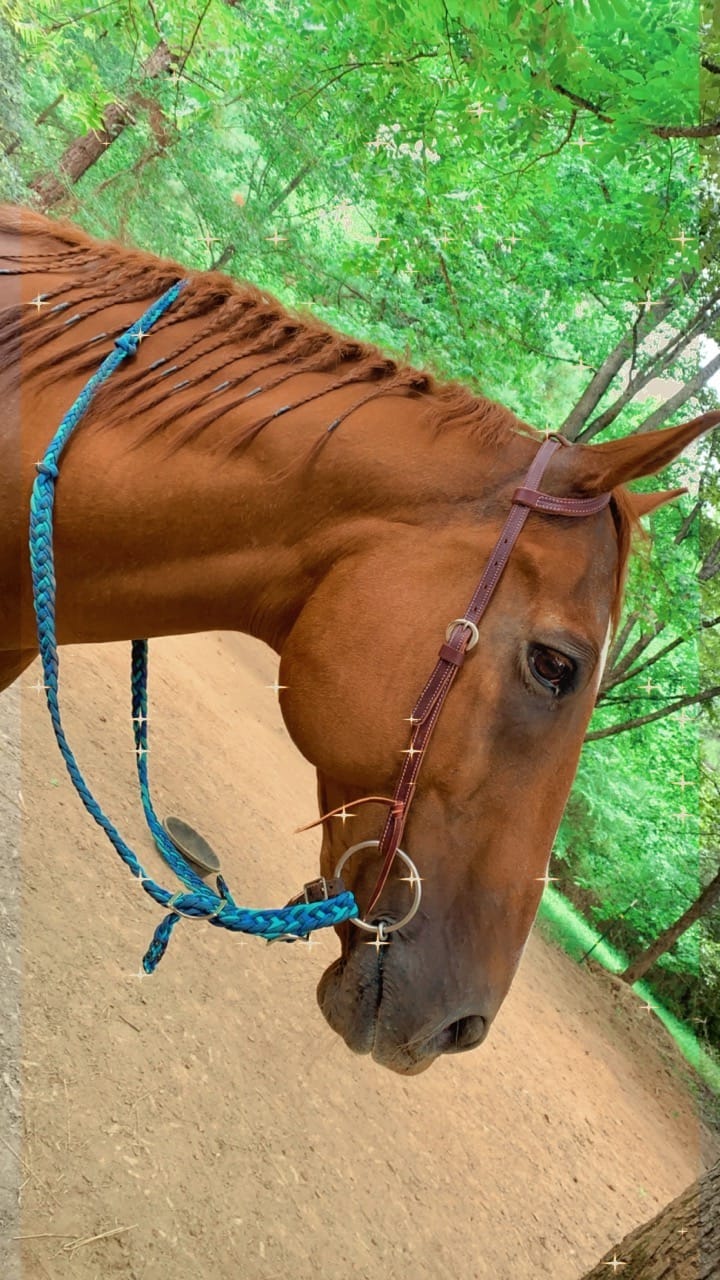 Weaver LeatherTRV154605 customer photo 1