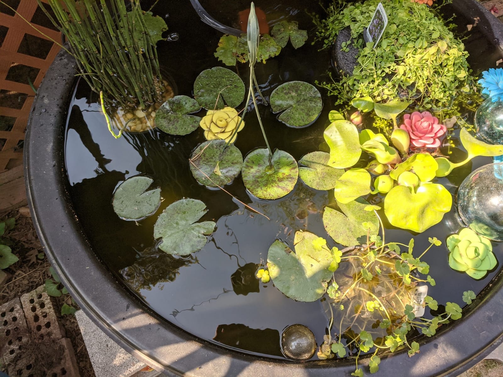 TotalPond Pump Filter Box, Submersible Pump Protection up to 800 GPH, Anti-Clogging, Sturdy & Impact-Resistant, for Clean & Healthy Ponds, No Pump Included customer photo 1