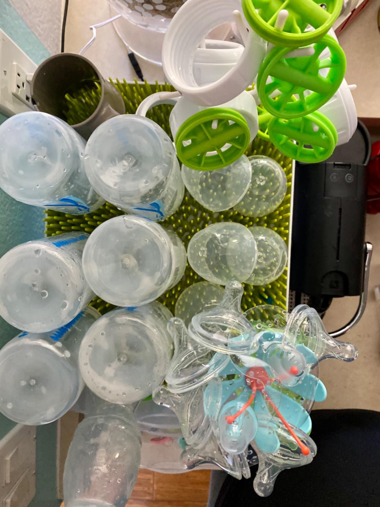 Boon Lawn Countertop Baby Bottle Drying Rack - Spring Green - 13.5x11x2.5 customer photo 1