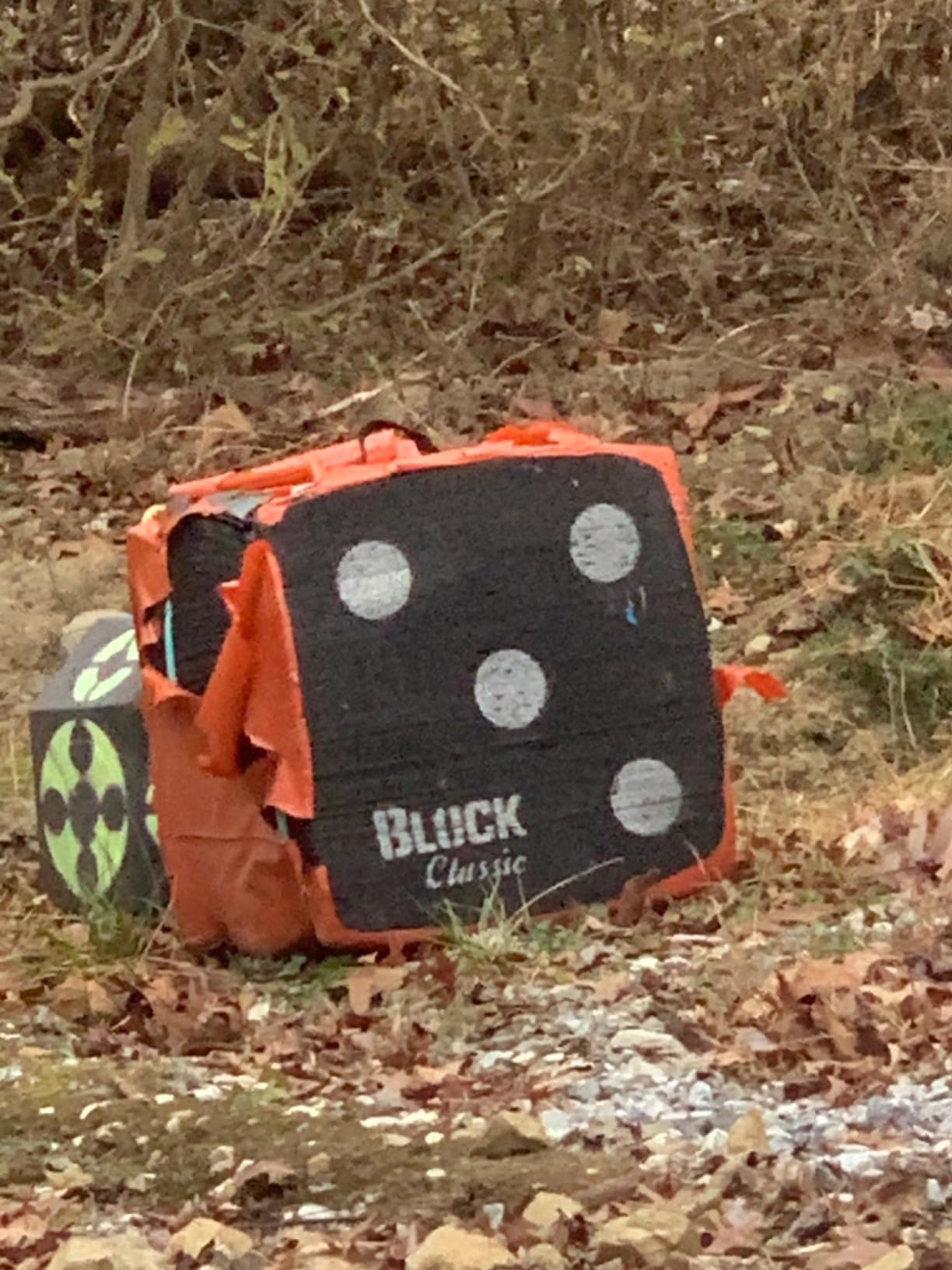 BLOCK Classic Layered Foam Archery Target, 18” x 18” x 13.5”, 2-Sided Shooting, Unique Open Layer Design Stops Field Points and Broadheads with Friction Not Force, Easy Arrow Removal, Top Carry Handle customer photo 2