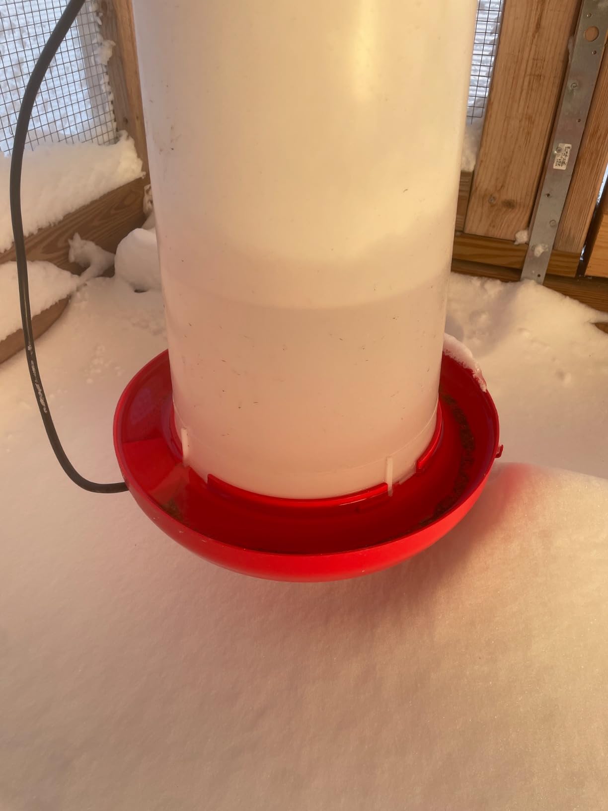 Farm Innovators HB-60P Heated Poultry Waterer Drinker, 2-Gal, 60W customer photo 1