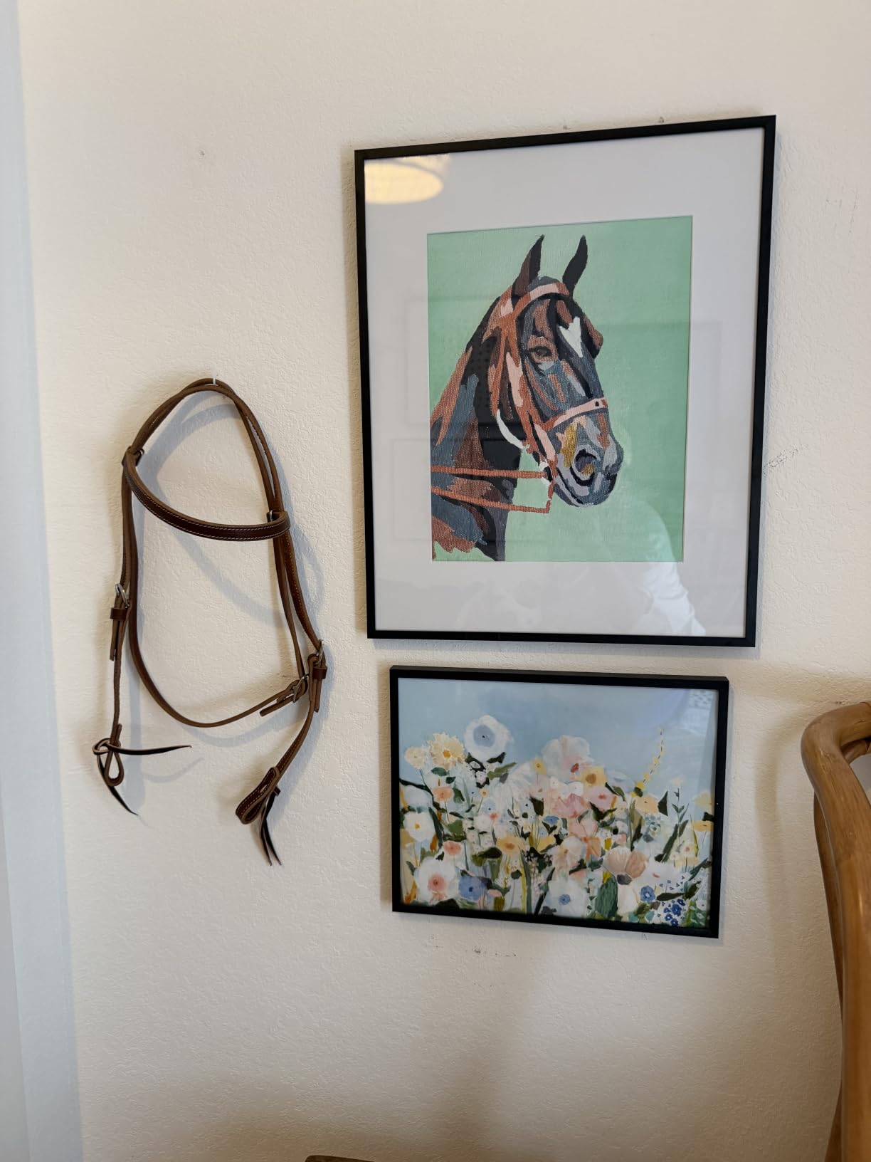 Weaver EquineTRV149205 customer photo 1