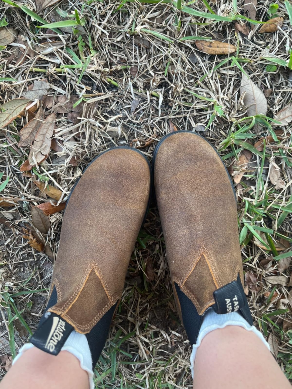 Blundstone Chelsea Boots Men Women - 550 Classic Series customer photo 2