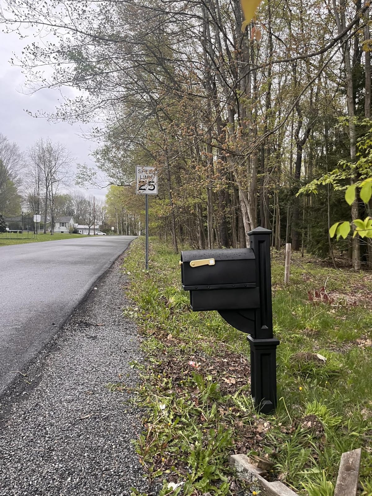 Step2 Mailmaster Hudson Mailbox, Magnetic Door, Large Newspaper Holder, Heavy-Duty, Weather Resistant, Post Mounting Hardware Kit Included, Black customer photo 1
