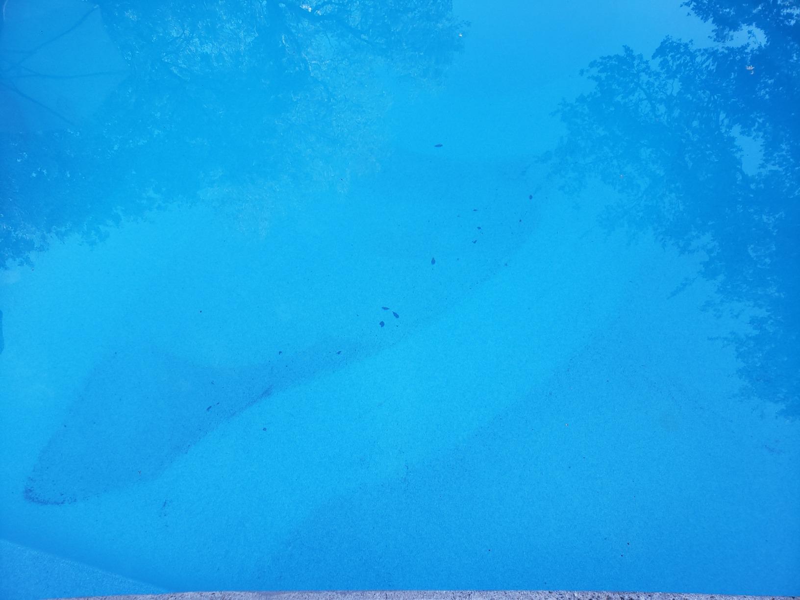 Pentair K60430 Kreepy Krauly Kruiser Automatic Inground Pool Cleaner customer photo 2