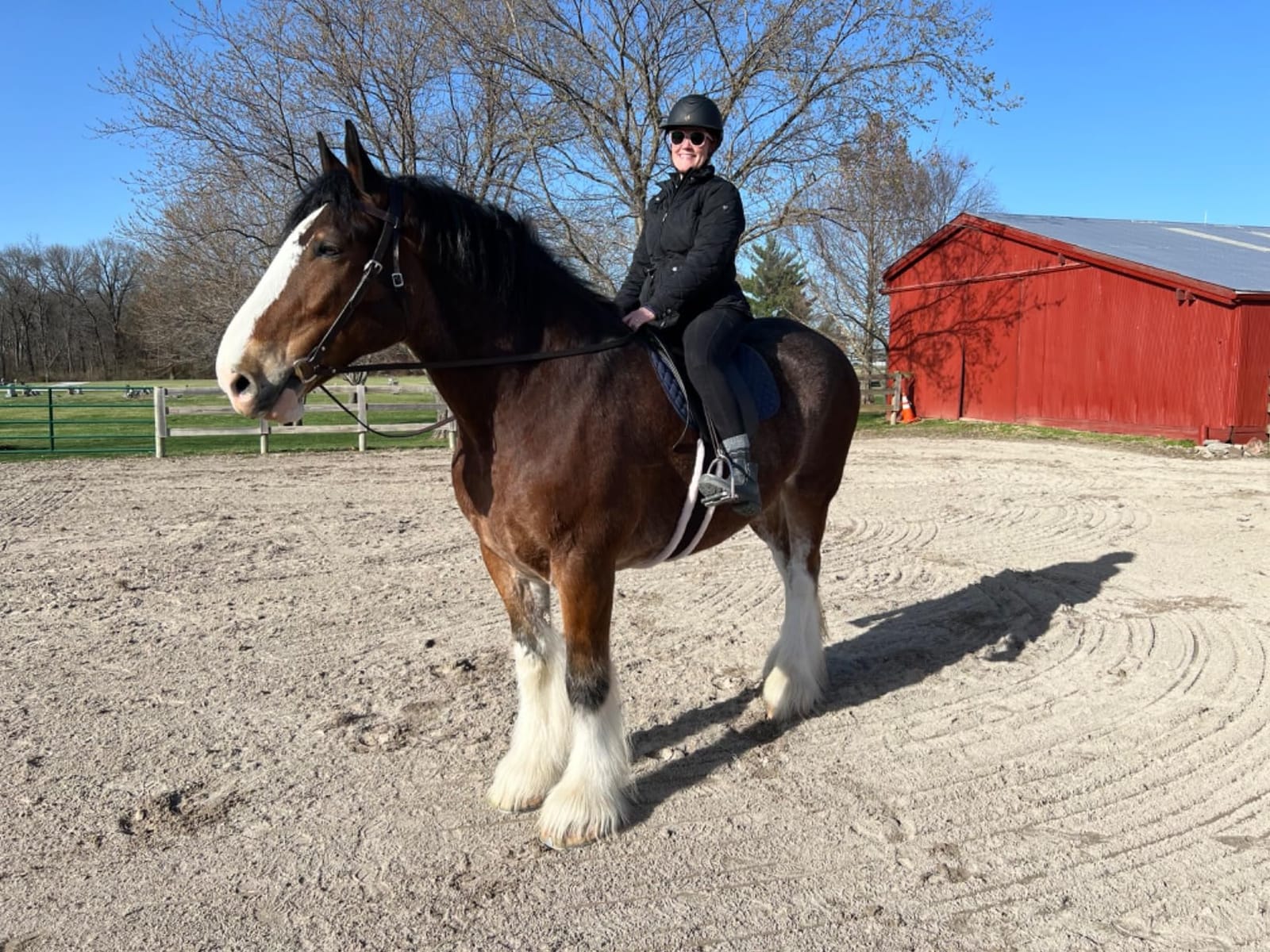 Tough 1 Western Leather Browband Draft Bridle customer photo 2