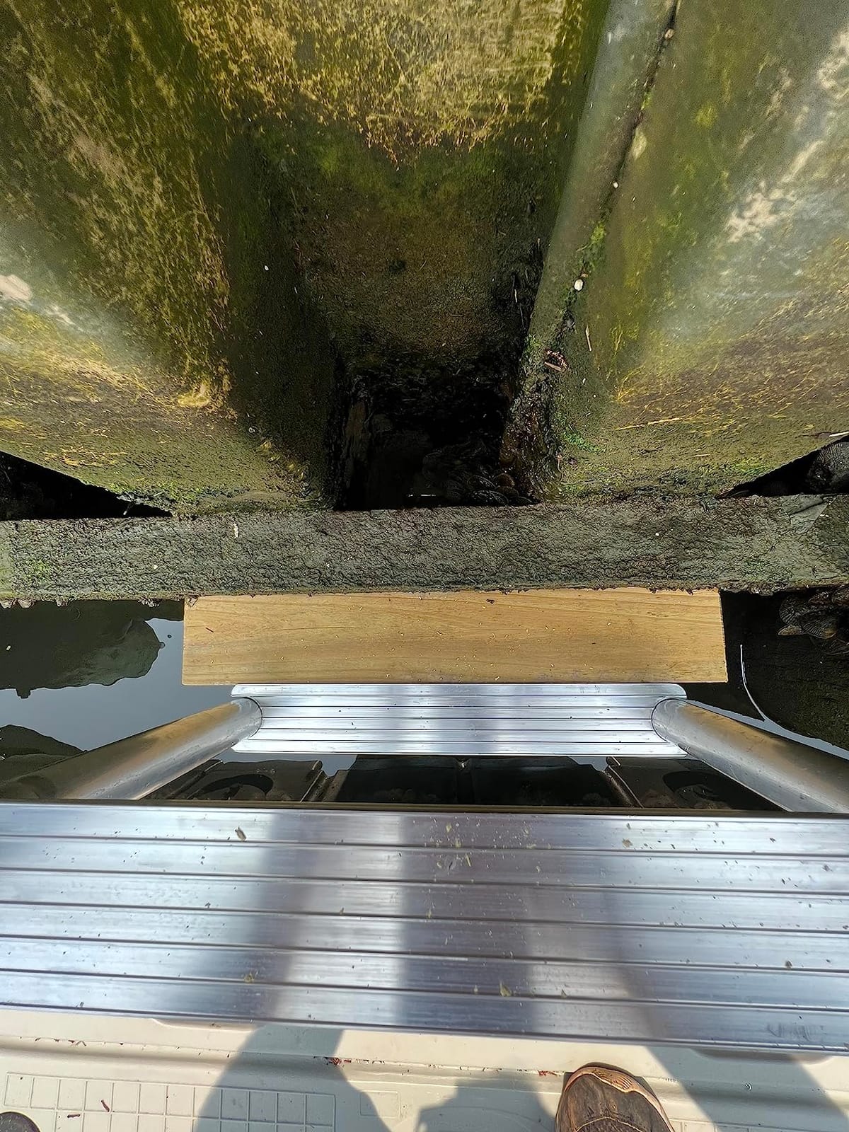 Dock Edge ECO Weld Free Fixed Dock Ladder customer photo 1