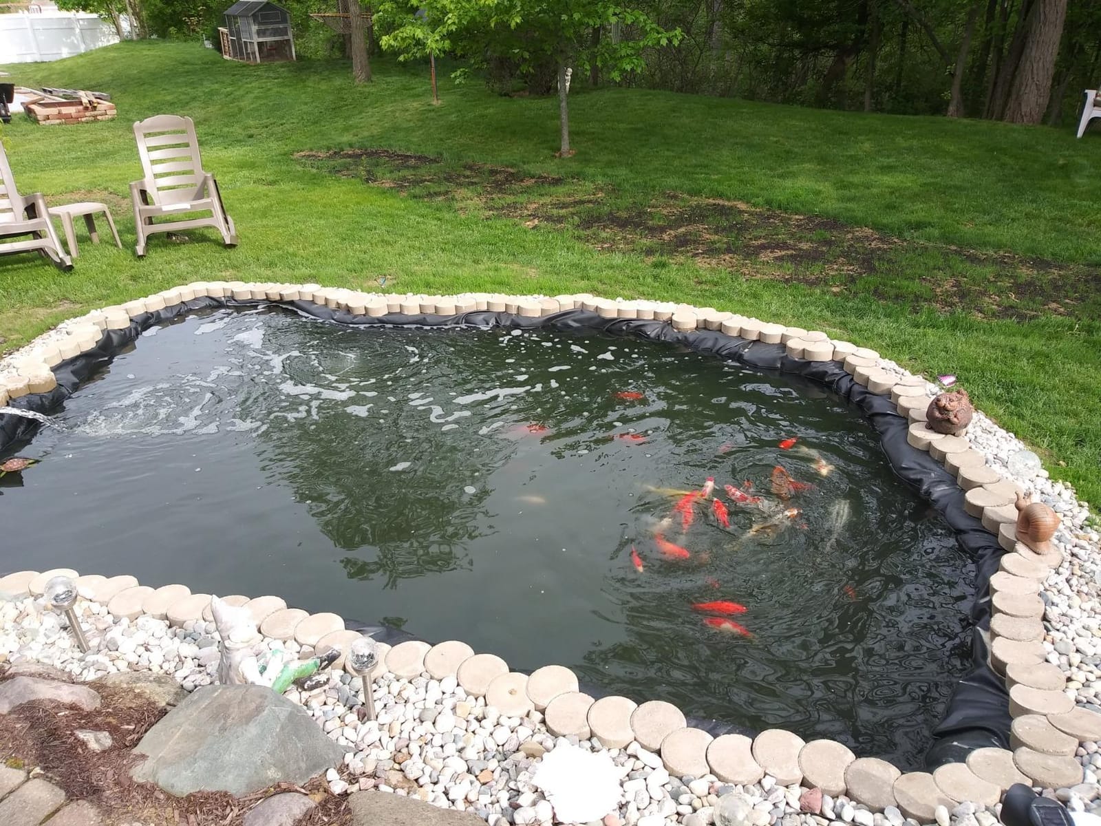 OASE Vitronic 18 UV Clarifier for Pond customer photo 1