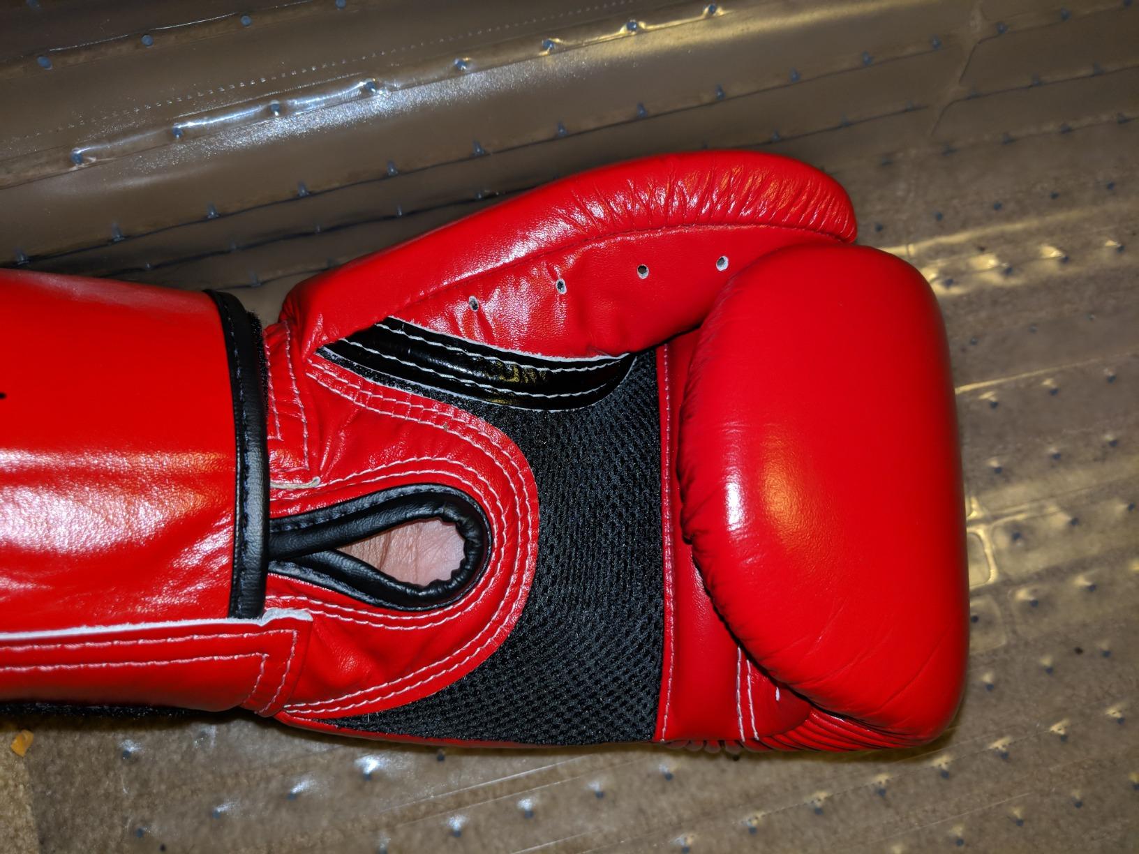 Fairtex BGV1BR Breathable Boxing Gloves, Lightweight Shock Absorbent Gear customer photo 2
