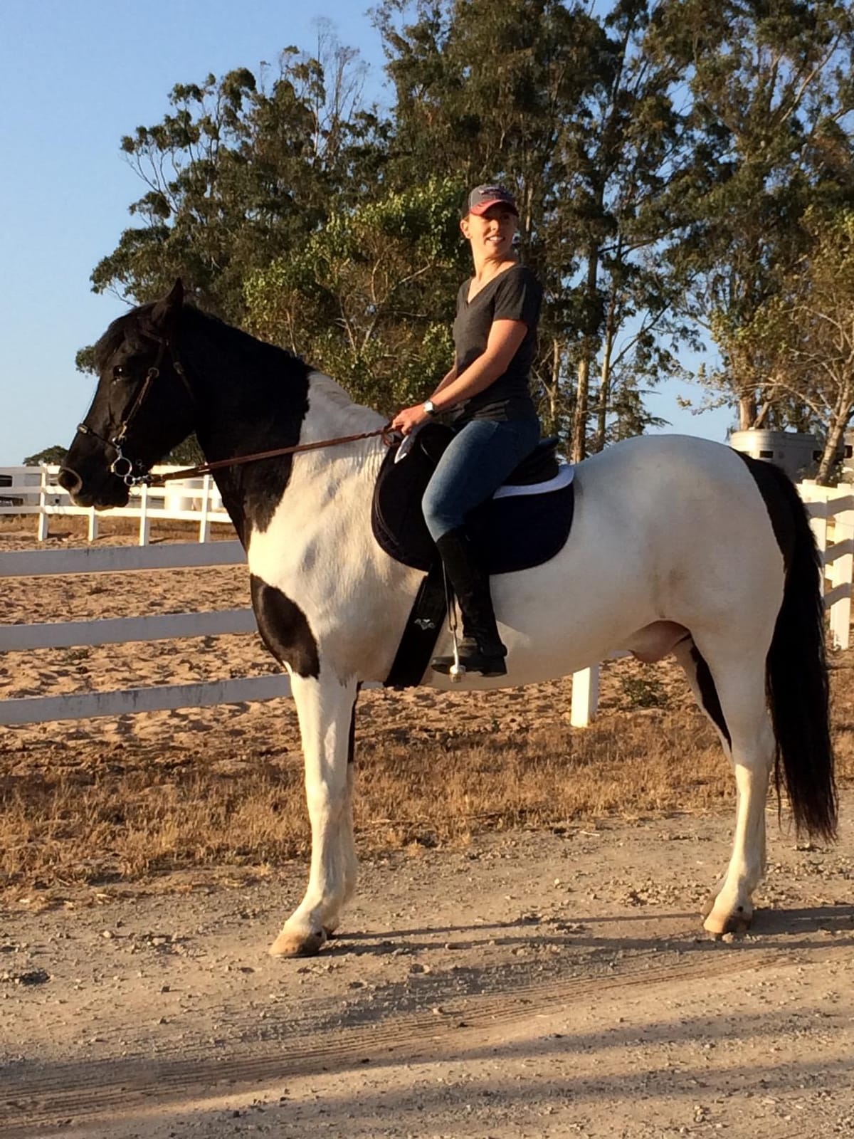 ECP Equine Comfort Products Adjustable Shock Absorbing Memory Foam Half Saddle Pad, Injury Prevention & Pressure Relief, Customizable Fit, Breathable for All Riding Styles customer photo 2