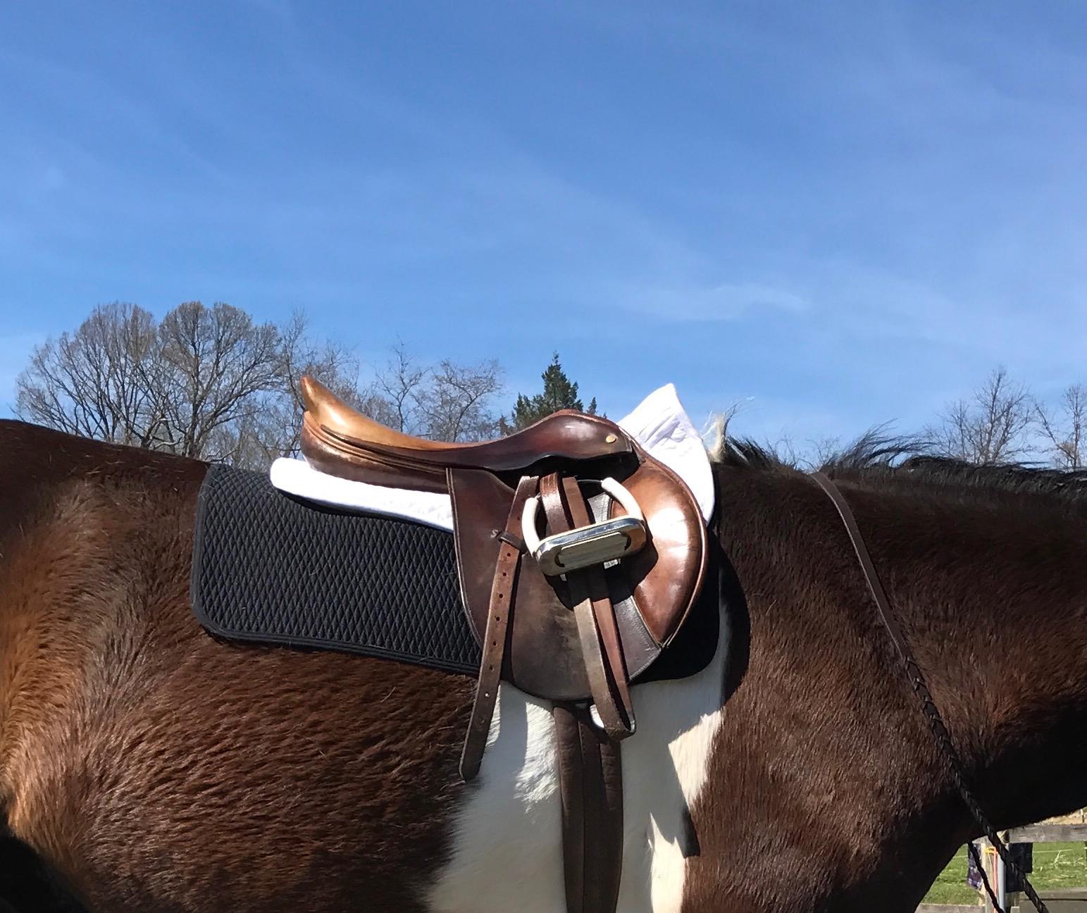 ECP Equine Comfort Products Adjustable Shock Absorbing Memory Foam Half Saddle Pad, Injury Prevention & Pressure Relief, Customizable Fit, Breathable for All Riding Styles customer photo 2