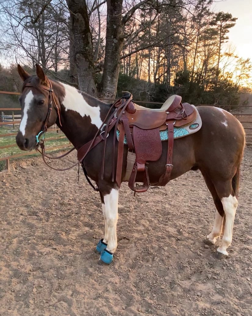 The Montana 100% Extra Fine Wool Made in the USA Saddle Pad by Southwestern 3/4