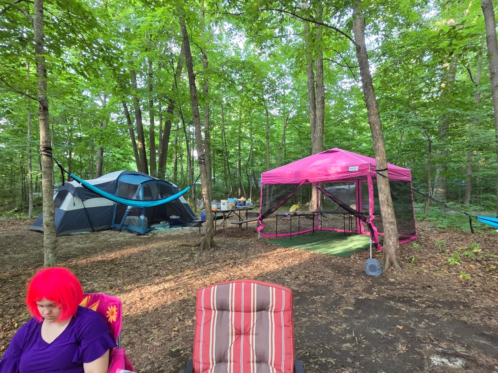 Quictent 10'x10' Pop up Screened Canopy Tent with Mosquito Netting customer photo 1