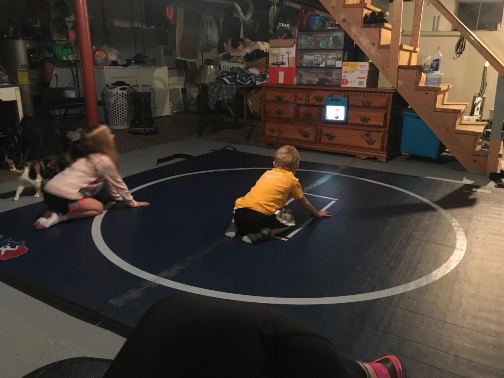 Dollamur Wrestling Mat for Home,10'x10', Circle, Start Marks-Made in USA customer photo 2