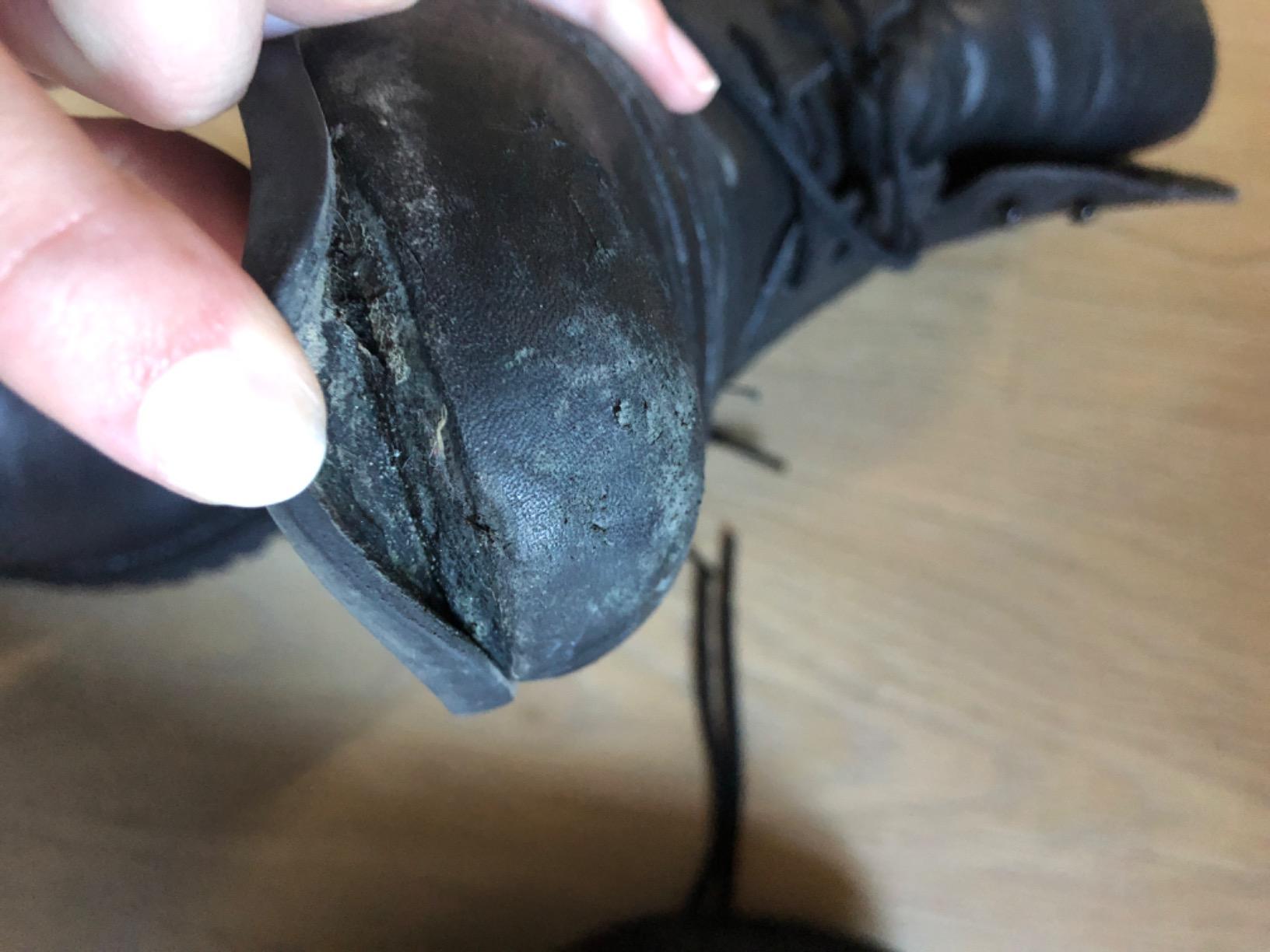 ARIAT Scout Paddock customer photo 2