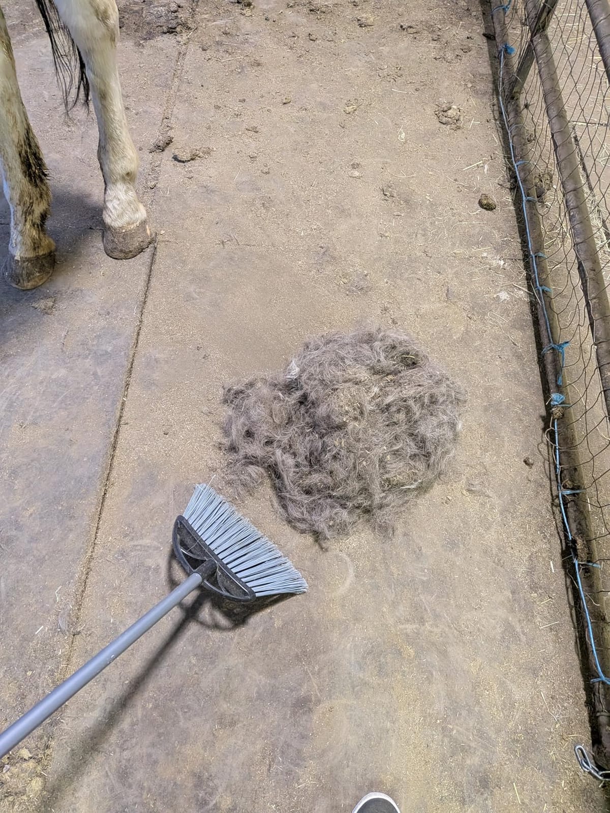 SleekEZ 10 Inch Horse Brush – Patented Horse Shedding Blade Made in USA - Removes Loose Hair & Undercoat - Deshedding Tool for Donkeys, Cows & Large Animals - Helps Reduce Seasonal Shedding customer photo 2