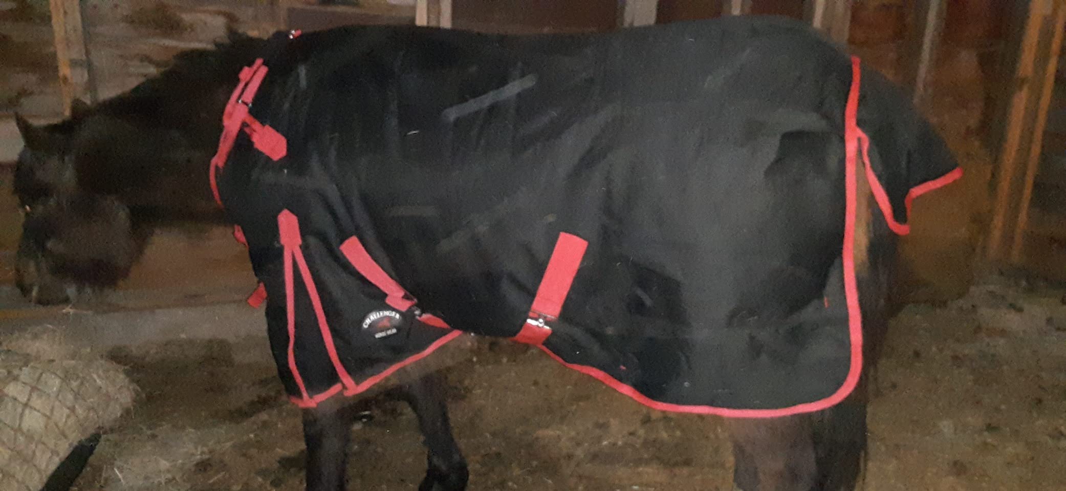Challenger 1200D Turnout Waterproof Horse Winter Blanket Heavy 511 customer photo 2