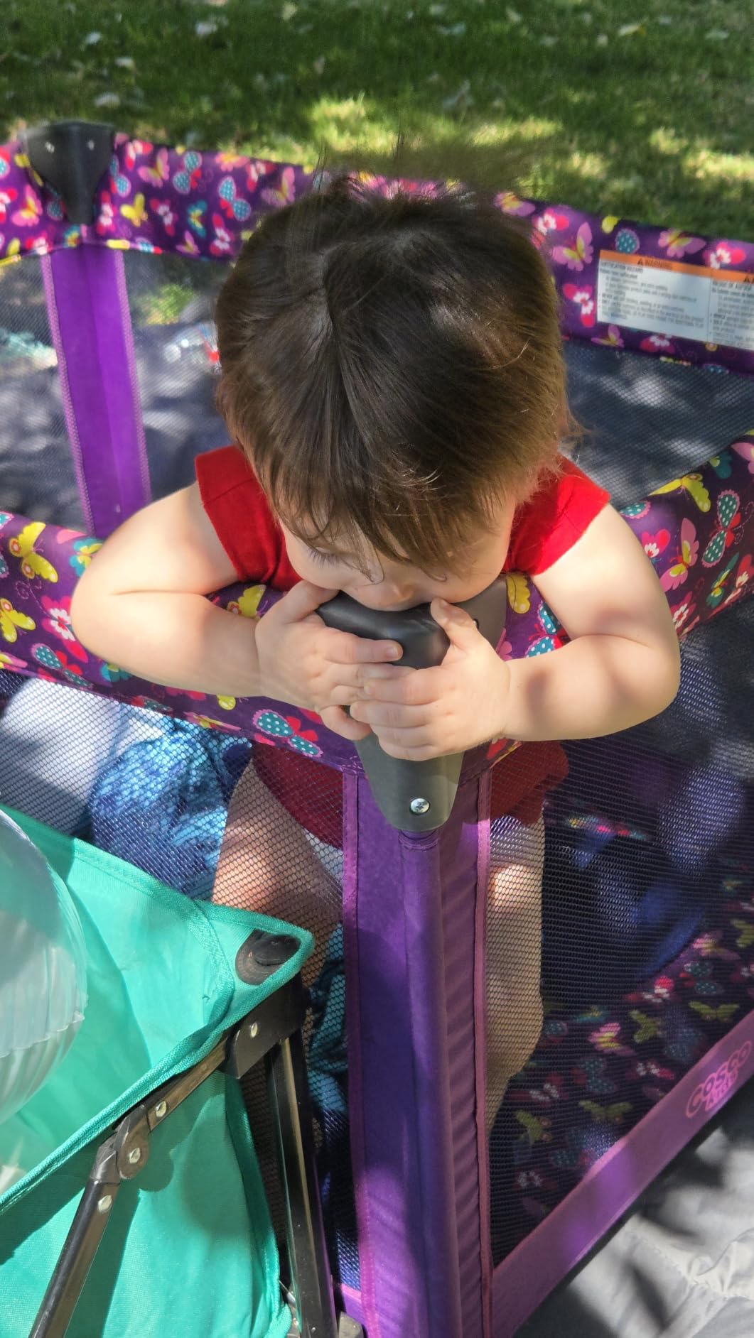 Cosco Funsport Compact Portable Playard, Lightweight, Easy Set up, Foldable Baby Playpen with Carry Bag, Butterfly Twirl customer photo 2