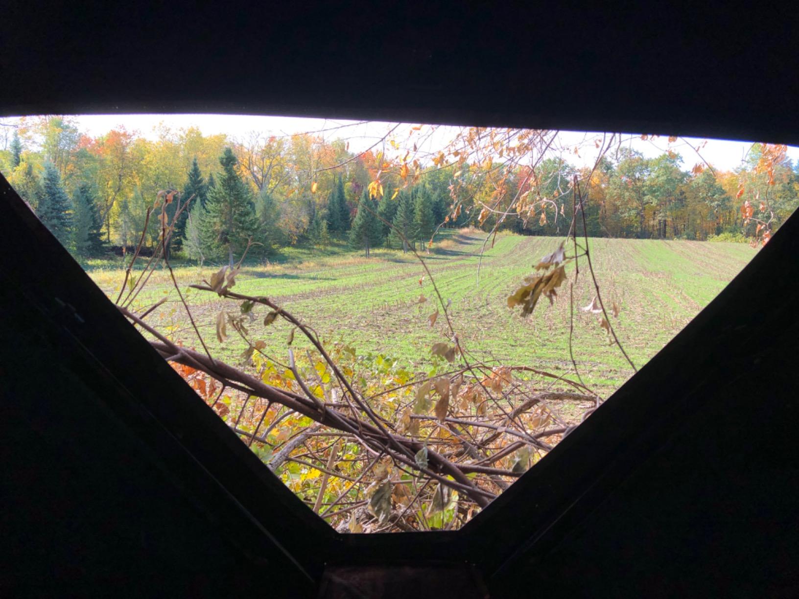 Barronett Blinds RA200BW Radar Pop Up Portable Blind, Bloodtrail Backwoods Camo, 67” x 71” x 71” customer photo 1