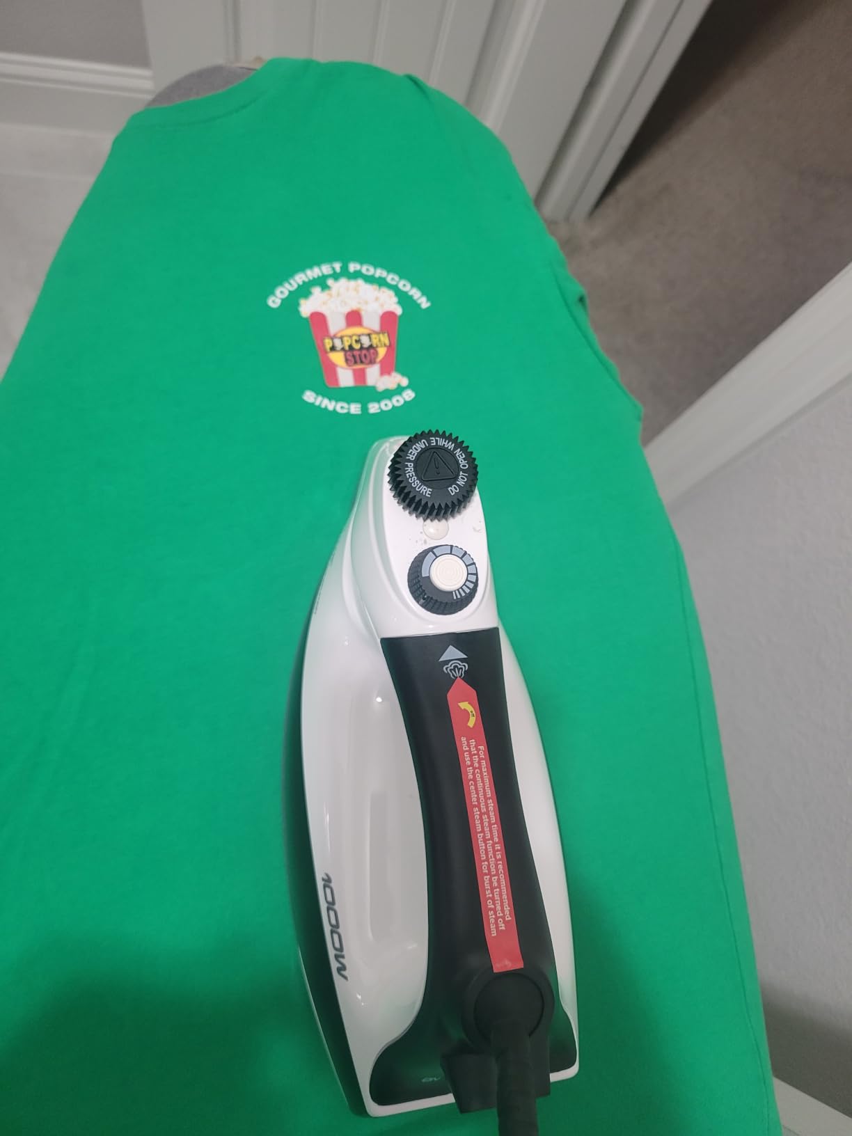 Eurosteam Next Generation Steam Iron customer photo 1