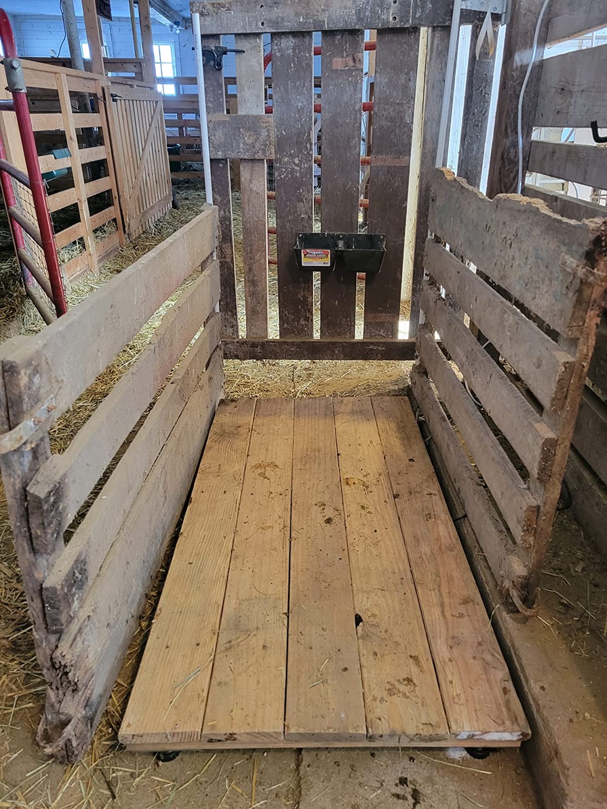 1000 lb Livestock hog Sheep Goat Animal Scale Kit customer photo 1