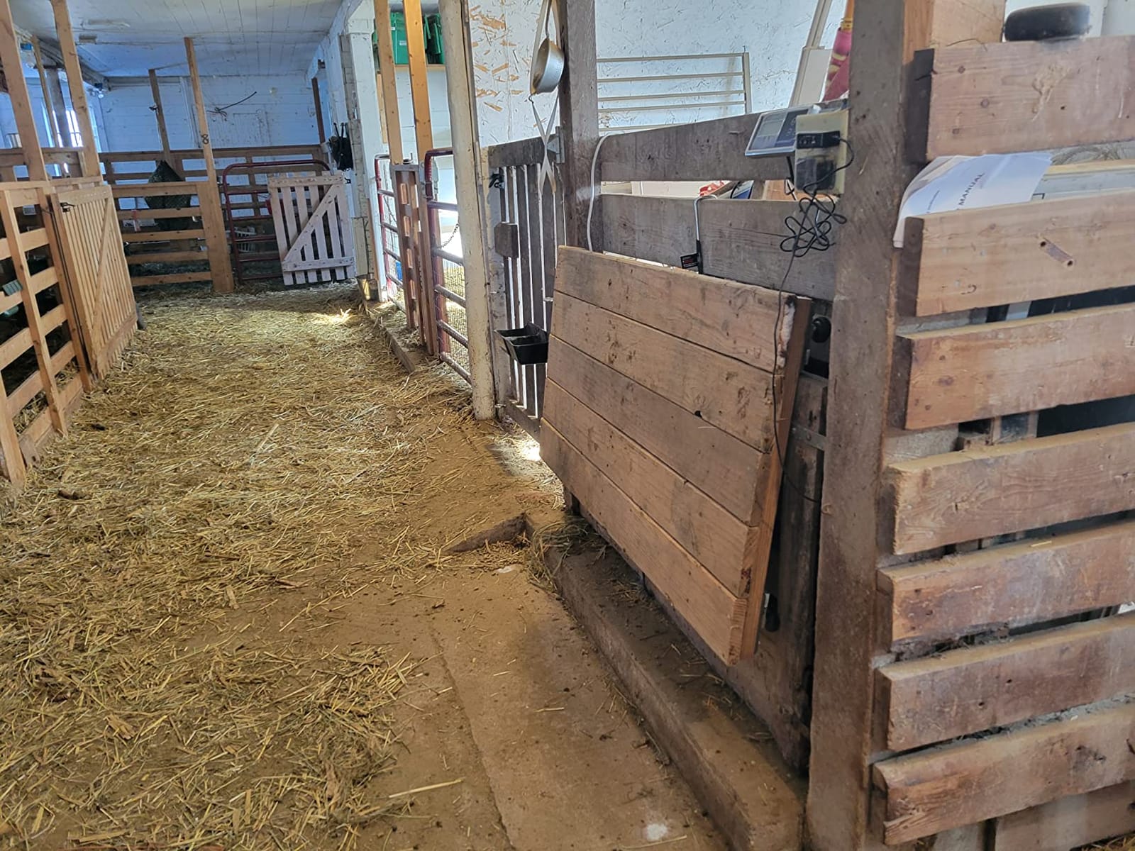 1000 lb Livestock hog Sheep Goat Animal Scale Kit customer photo 2