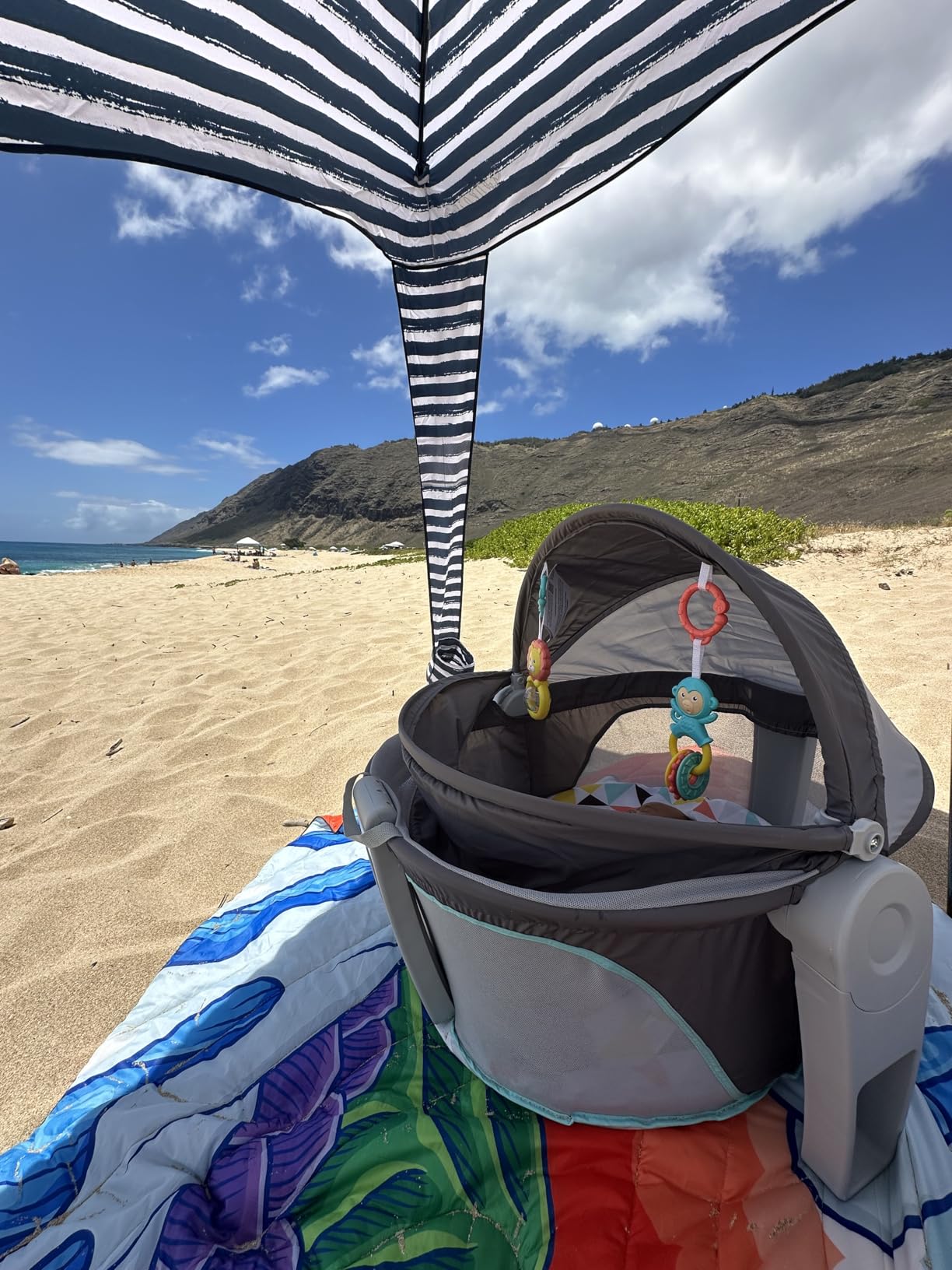 Fisher-Price Portable Bassinet On-The-Go Baby Dome, Travel Play Space with Developmental Newborn Toys & Canopy, Windmill customer photo 1