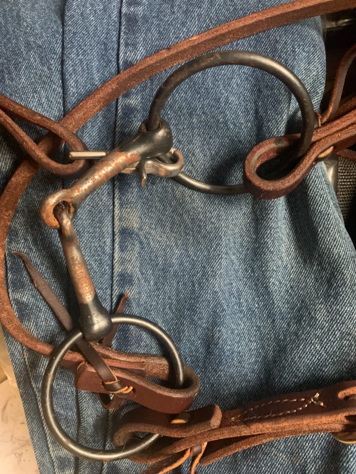 Weaver Leather Working Tack Bridle with Ring Snaffle Mouth Bit, Golden Chestnut customer photo 1
