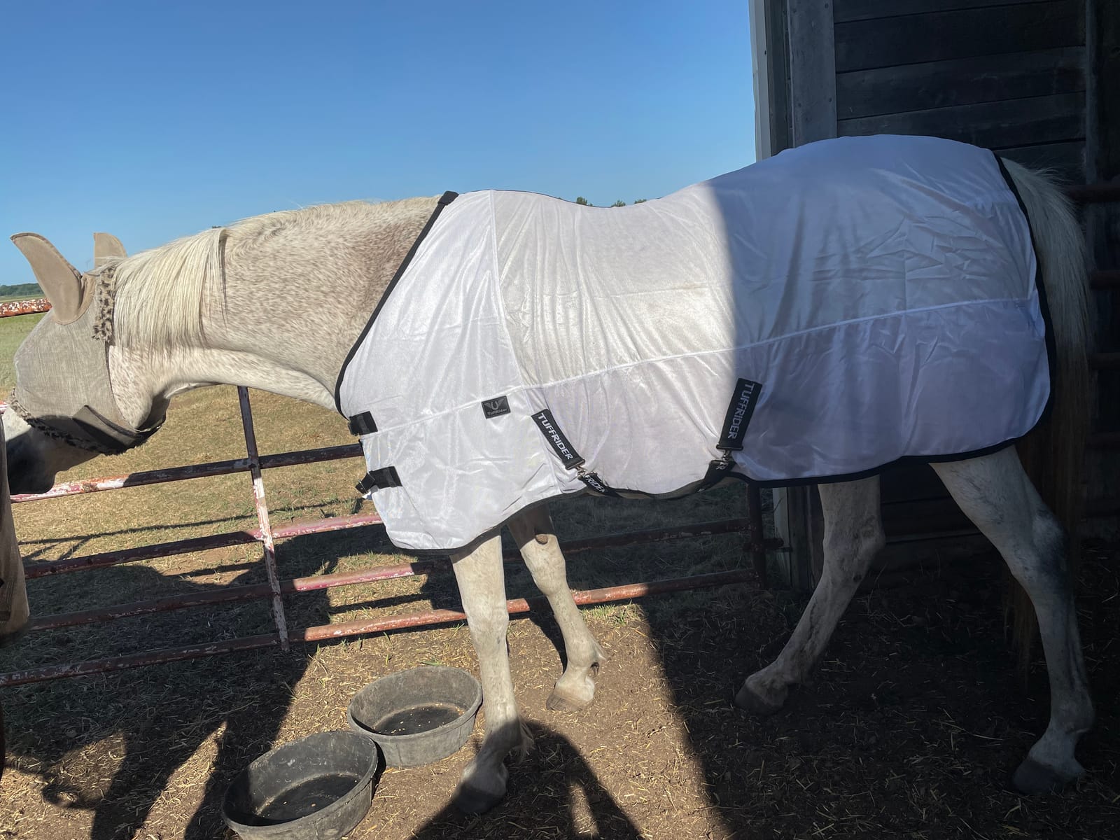 TuffRider Comfy Mesh Fly Sheet | UV Protection Horse Sheet, Standard Neck, 130 Grams Breathable Polyester Mesh - White - 75 customer photo 1