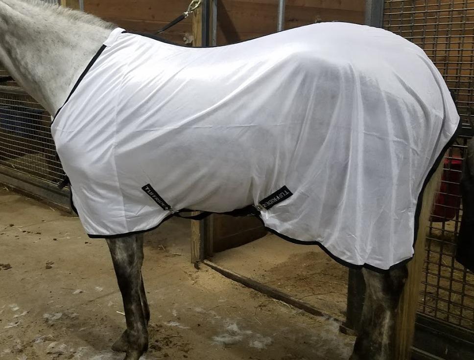 TuffRider Comfy Mesh Fly Sheet | UV Protection Horse Sheet, Standard Neck, 130 Grams Breathable Polyester Mesh - White - 75 customer photo 2
