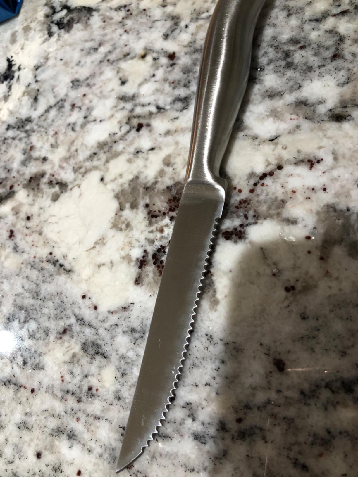 Steak Knife Set of 6, 4.5 inches Dishwasher Safe High Carbon Stainless Steel Knives, Silver customer photo 1