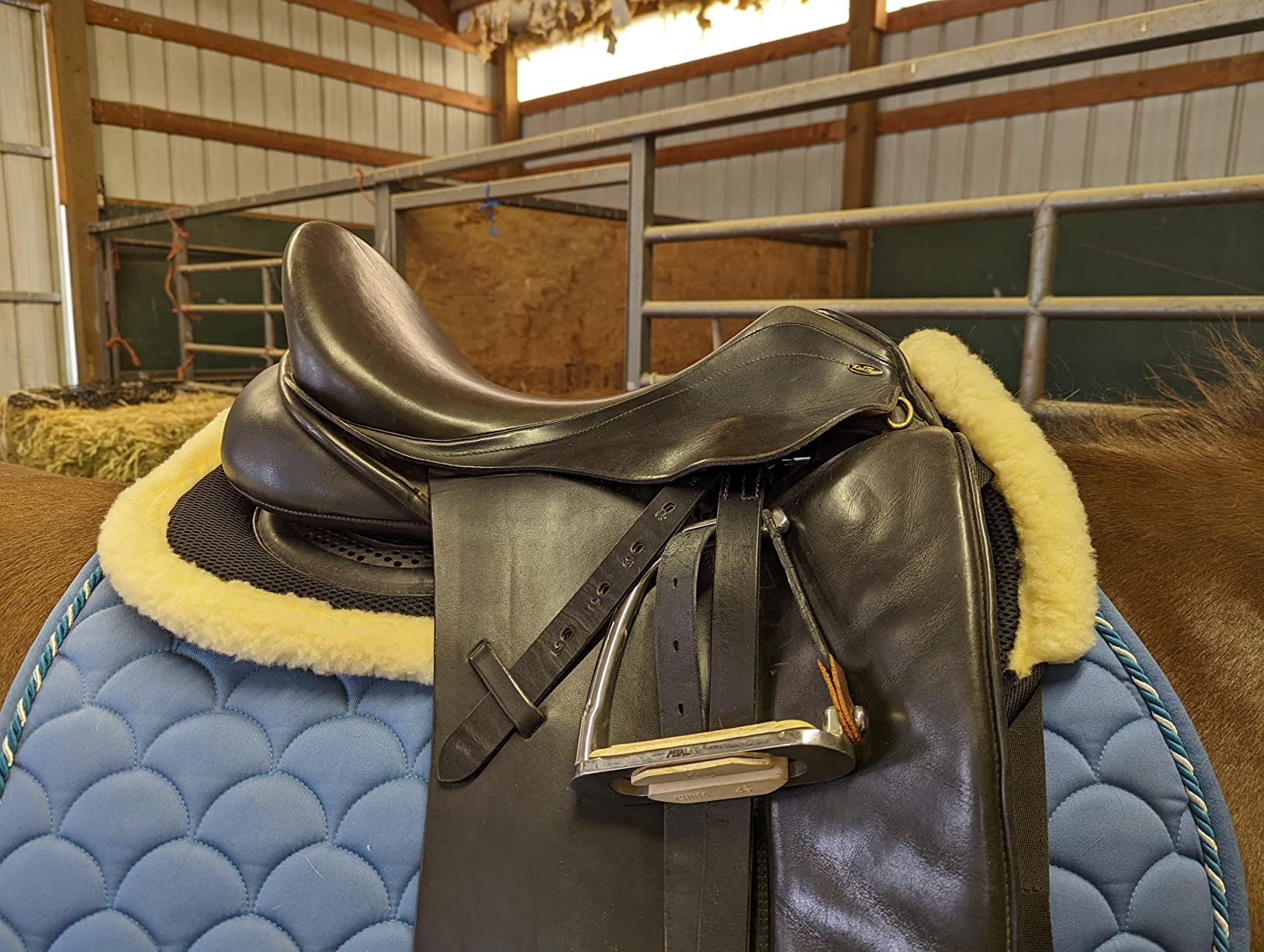 Kavallerie 3D Air-Mesh Half Pad, Impact Protection & Therapeutic Gel Padding English Saddle for Maximum Support and Stability, Best for Horses Under Saddle, Dressage, Jumping & Training customer photo 2