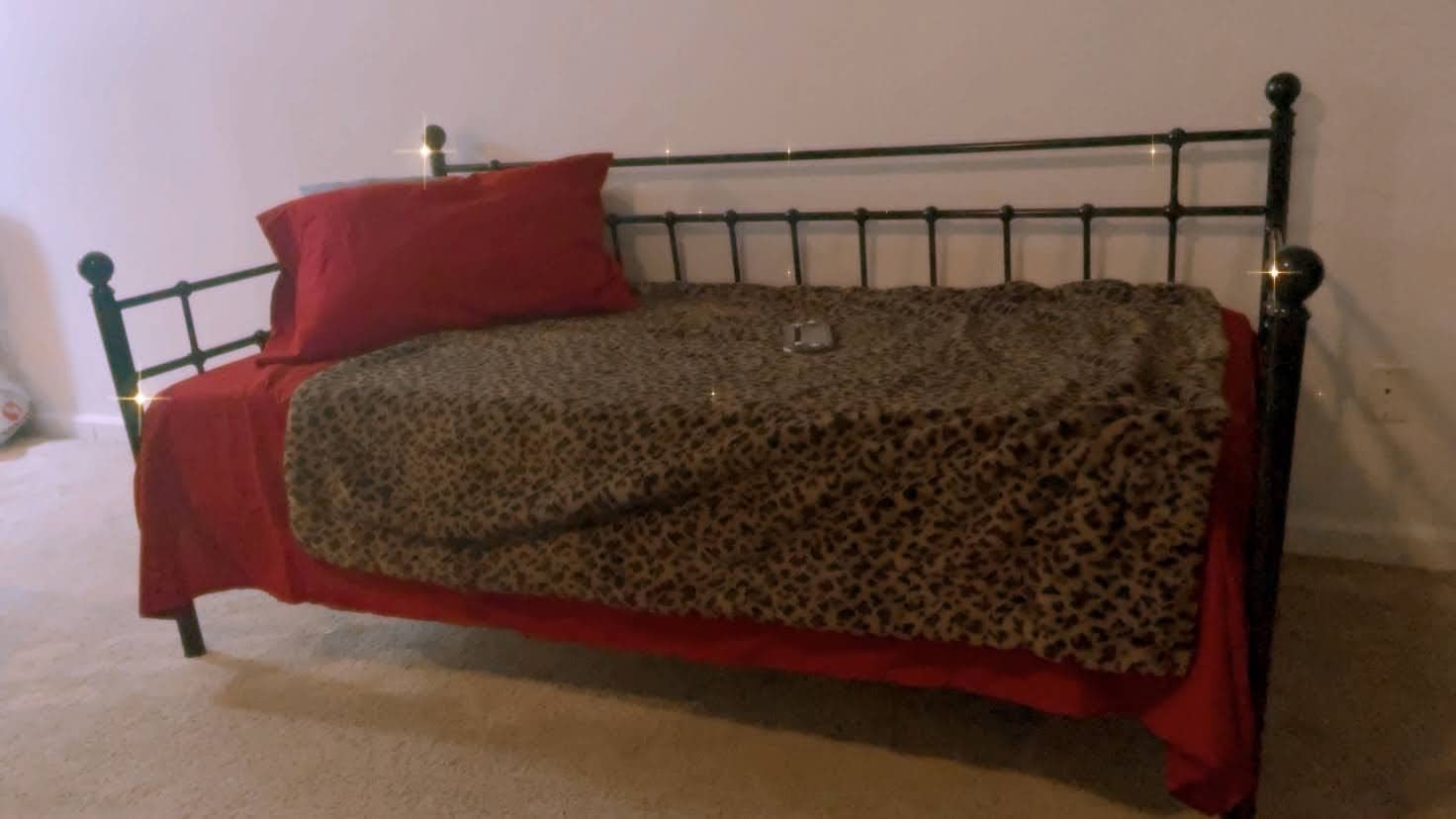 HOMERECOMMEND Metal Daybed Frame Twin Size,Black customer photo 2